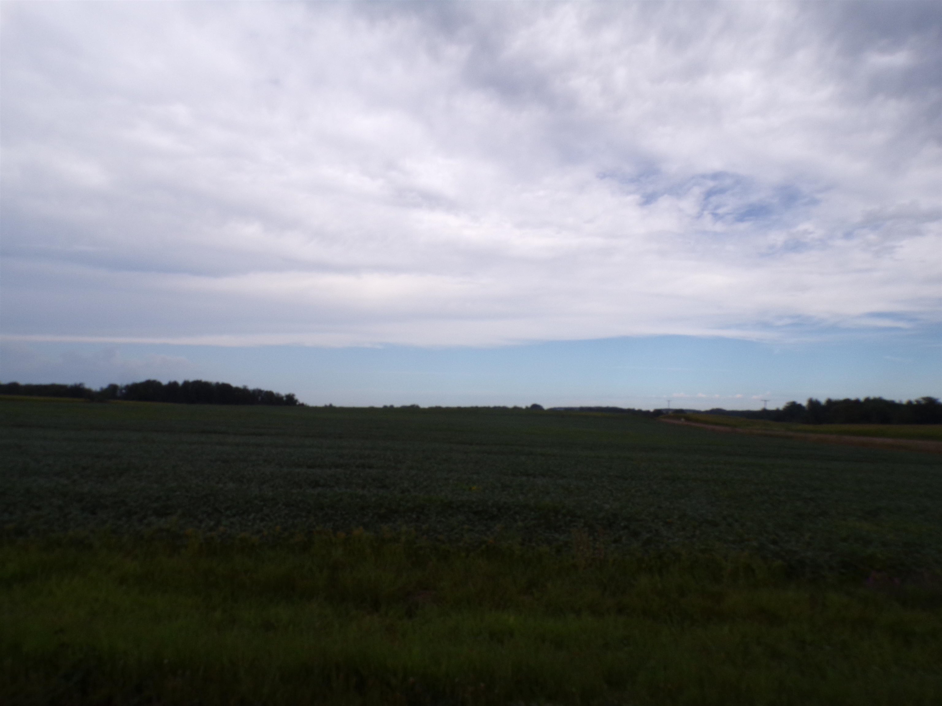 N7500 CARDINAL AVENUE, Greenwood, Wisconsin 54437, ,Land,For Sale,N7500 CARDINAL AVENUE,22604366
