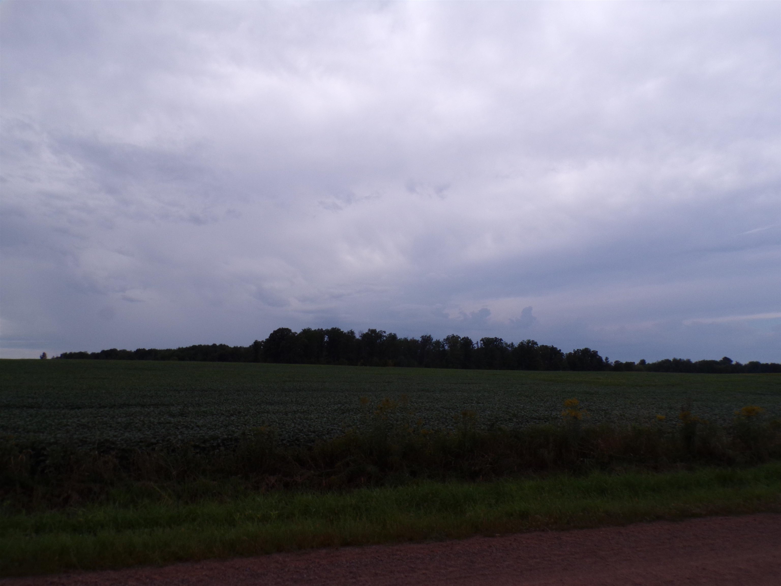 N7500 CARDINAL AVENUE, Greenwood, Wisconsin 54437, ,Land,For Sale,N7500 CARDINAL AVENUE,22604366