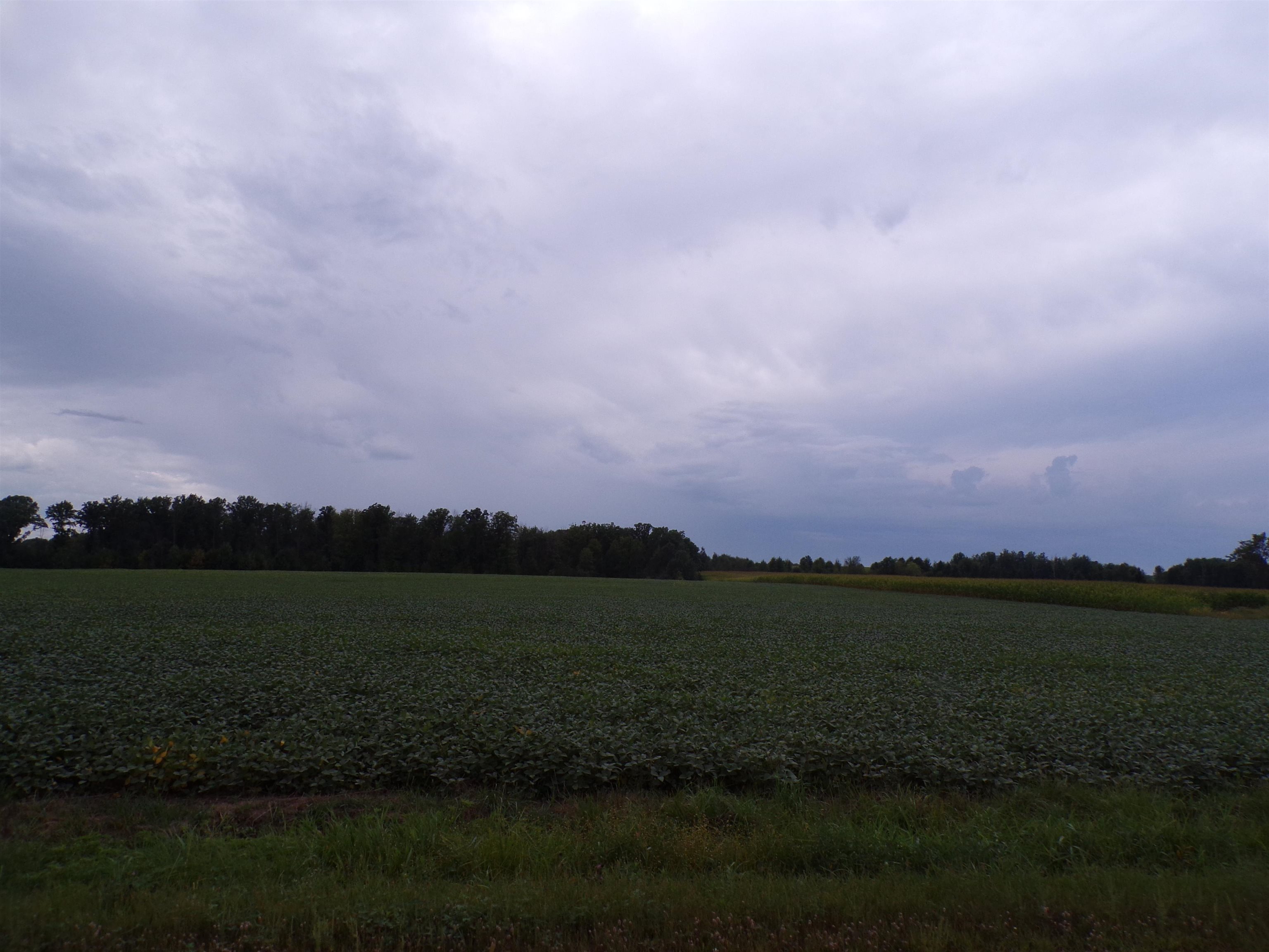 N7500 CARDINAL AVENUE, Greenwood, Wisconsin 54437, ,Land,For Sale,N7500 CARDINAL AVENUE,22604366
