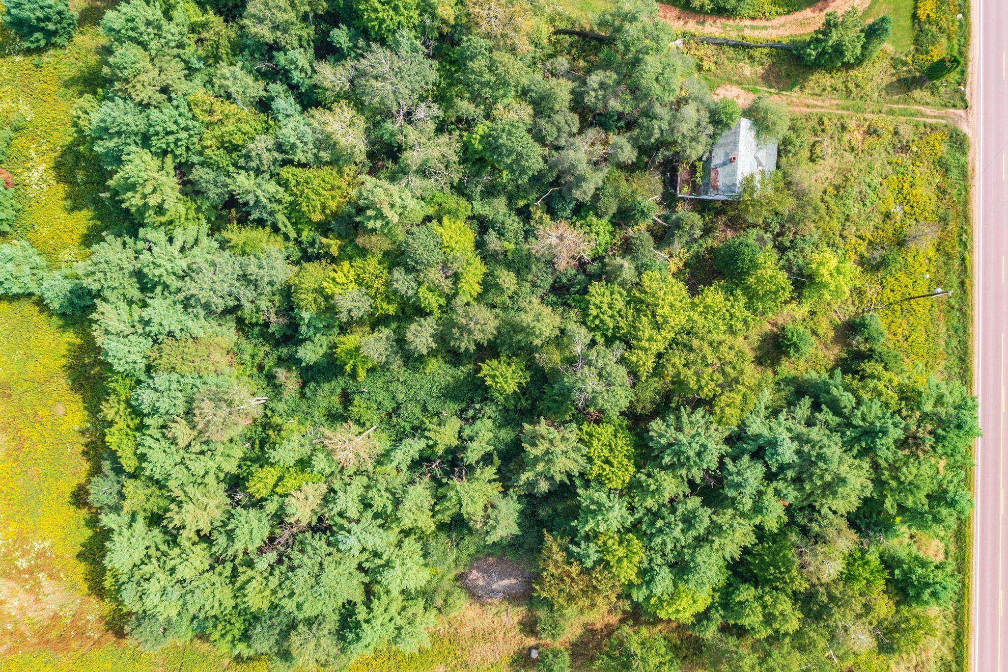 174052 COUNTY ROAD N, Ringle, Wisconsin 54471, ,Land,For Sale,174052 COUNTY ROAD N,22604376