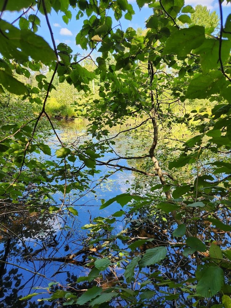 On PENINSULA DRIVE, Phillips, Wisconsin 54555, ,Land,For Sale,On PENINSULA DRIVE,22604385