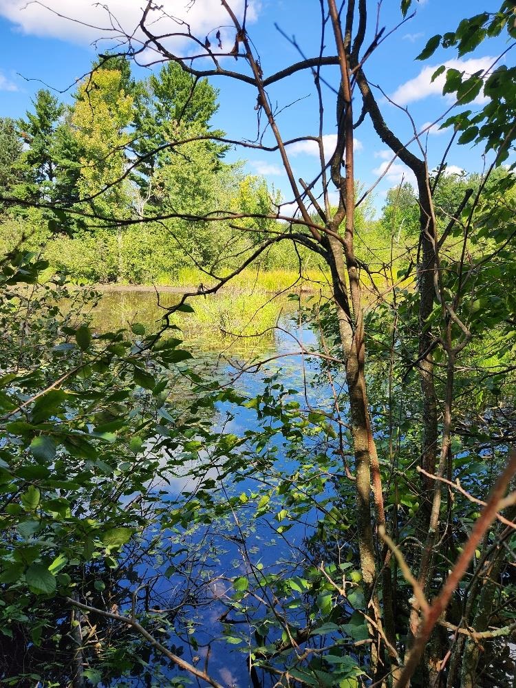 On PENINSULA DRIVE, Phillips, Wisconsin 54555, ,Land,For Sale,On PENINSULA DRIVE,22604385