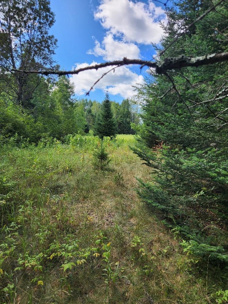 On PENINSULA DRIVE, Phillips, Wisconsin 54555, ,Land,For Sale,On PENINSULA DRIVE,22604385