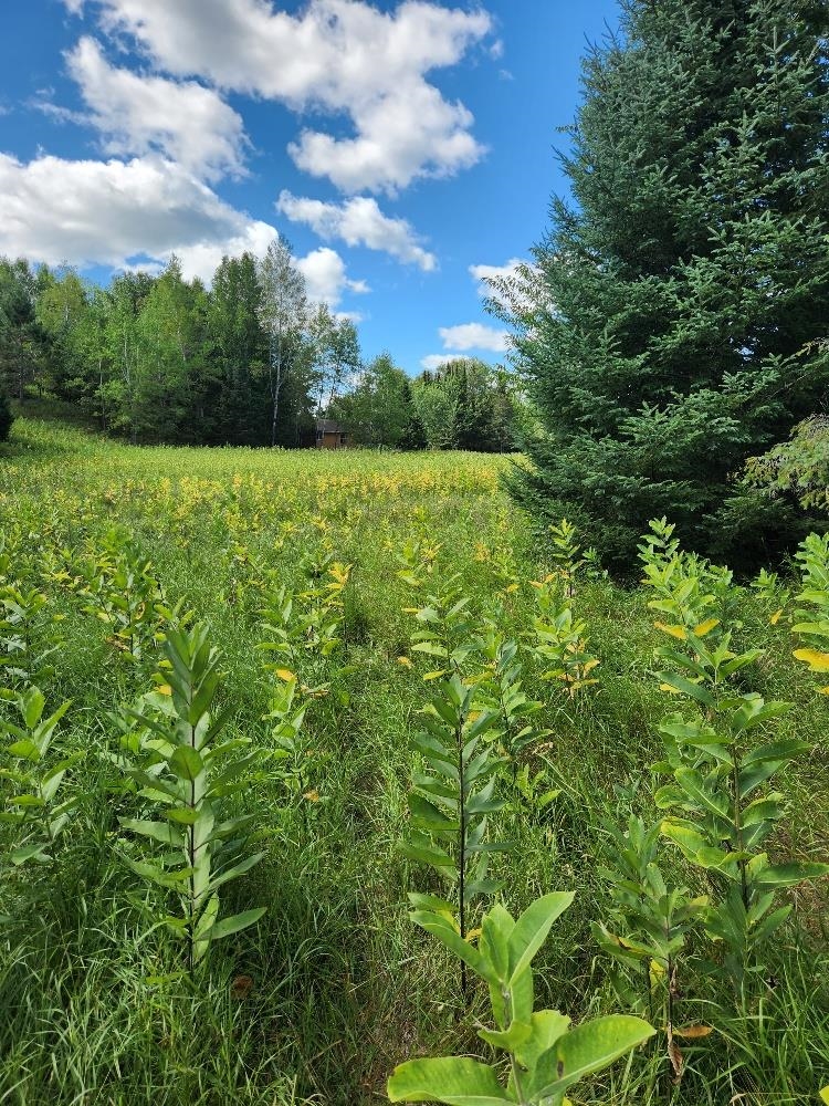 On PENINSULA DRIVE, Phillips, Wisconsin 54555, ,Land,For Sale,On PENINSULA DRIVE,22604385