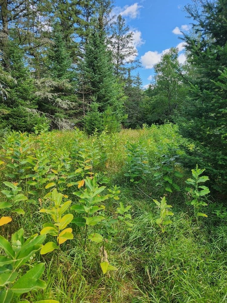 On PENINSULA DRIVE, Phillips, Wisconsin 54555, ,Land,For Sale,On PENINSULA DRIVE,22604385