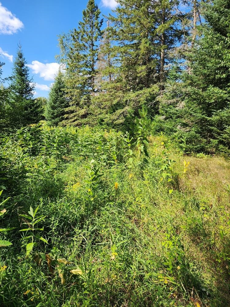 On PENINSULA DRIVE, Phillips, Wisconsin 54555, ,Land,For Sale,On PENINSULA DRIVE,22604385