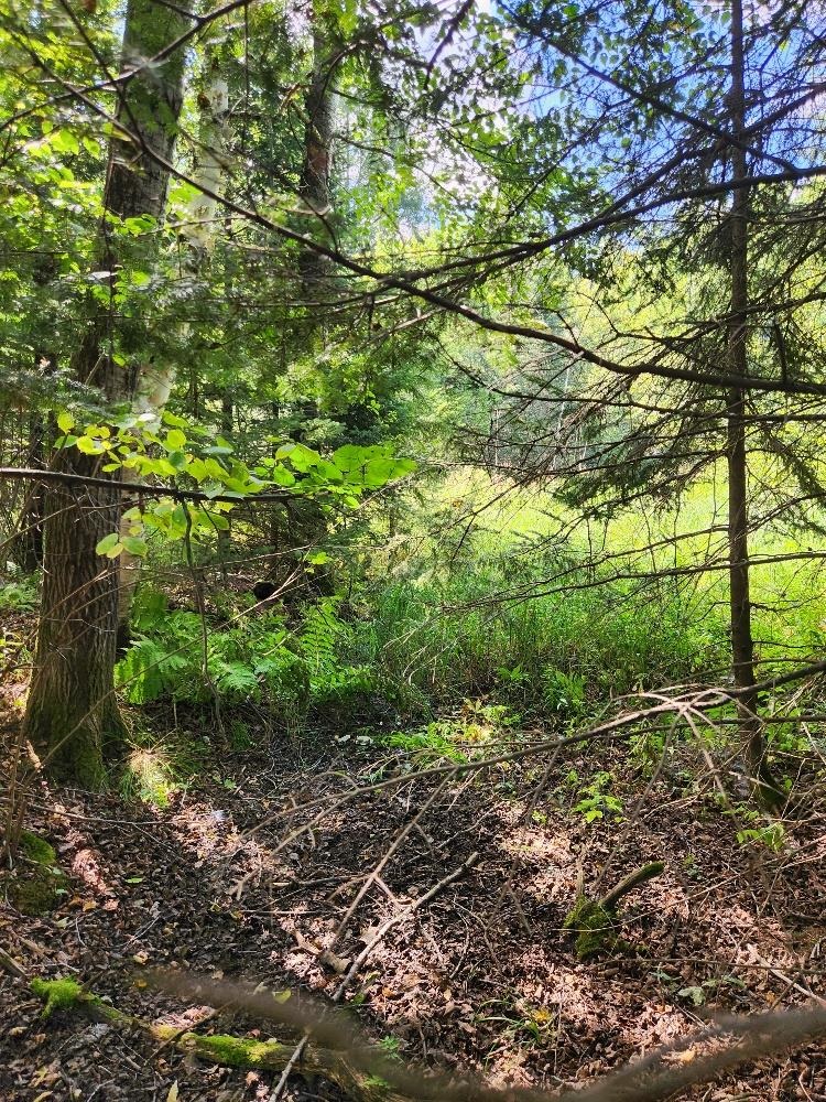 On PENINSULA DRIVE, Phillips, Wisconsin 54555, ,Land,For Sale,On PENINSULA DRIVE,22604385