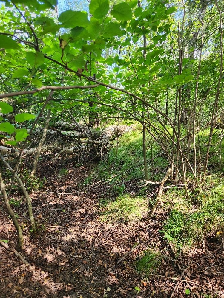 On PENINSULA DRIVE, Phillips, Wisconsin 54555, ,Land,For Sale,On PENINSULA DRIVE,22604385