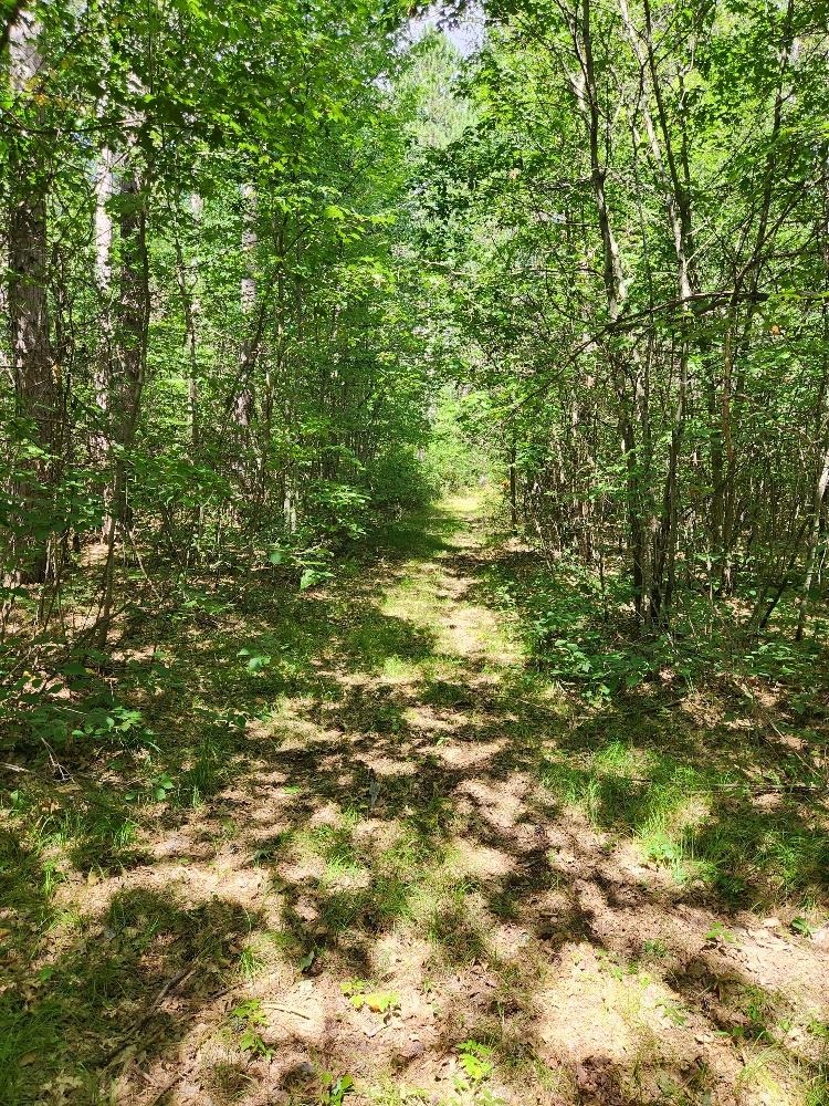On PENINSULA DRIVE, Phillips, Wisconsin 54555, ,Land,For Sale,On PENINSULA DRIVE,22604385