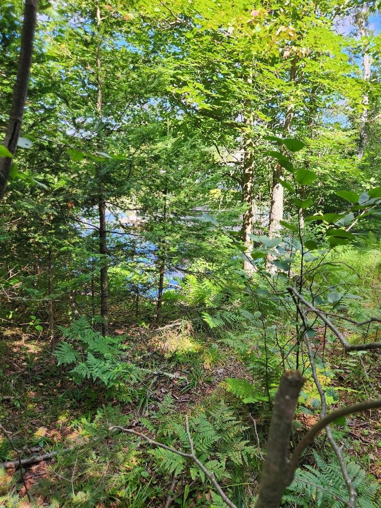 On PENINSULA DRIVE, Phillips, Wisconsin 54555, ,Land,For Sale,On PENINSULA DRIVE,22604385