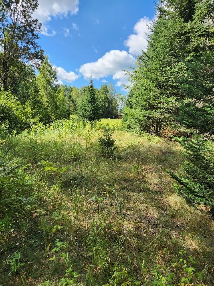 On PENINSULA DRIVE, Phillips, Wisconsin 54555, ,Land,For Sale,On PENINSULA DRIVE,22604385