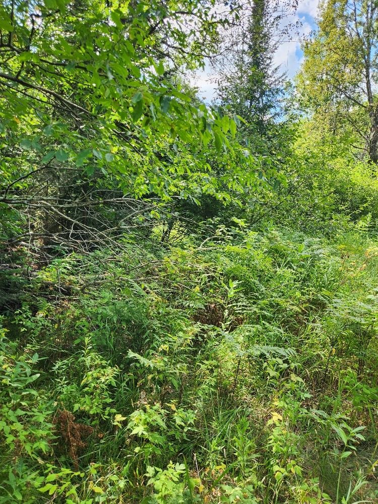 On PENINSULA DRIVE, Phillips, Wisconsin 54555, ,Land,For Sale,On PENINSULA DRIVE,22604385