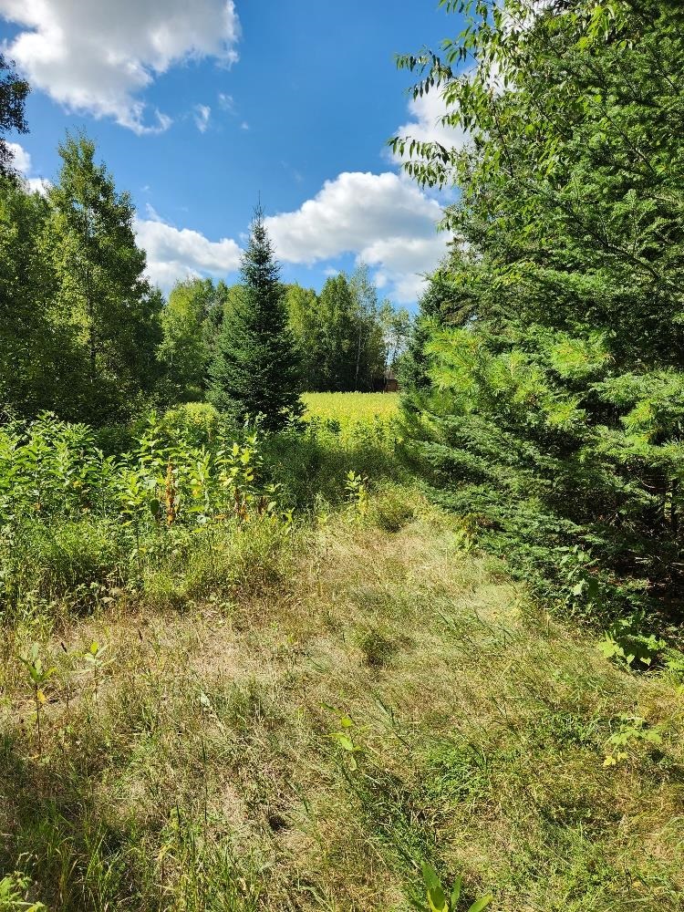 On PENINSULA DRIVE, Phillips, Wisconsin 54555, ,Land,For Sale,On PENINSULA DRIVE,22604385