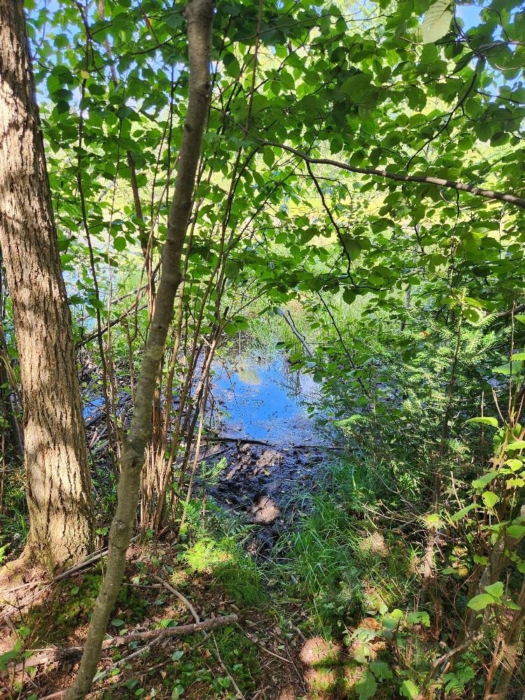 On PENINSULA DRIVE, Phillips, Wisconsin 54555, ,Land,For Sale,On PENINSULA DRIVE,22604385