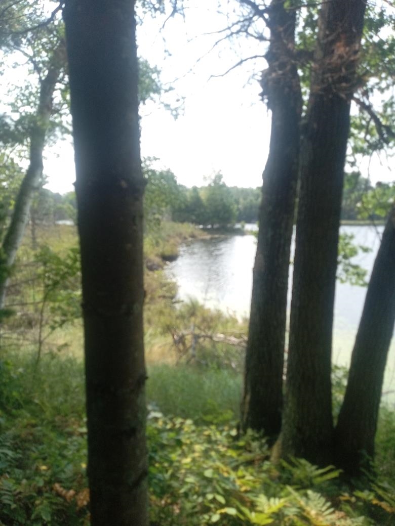 1505 SWALLOW LANE, Lac du Flambeau, Wisconsin 54538, ,Land,For Sale,1505 SWALLOW LANE,22604387