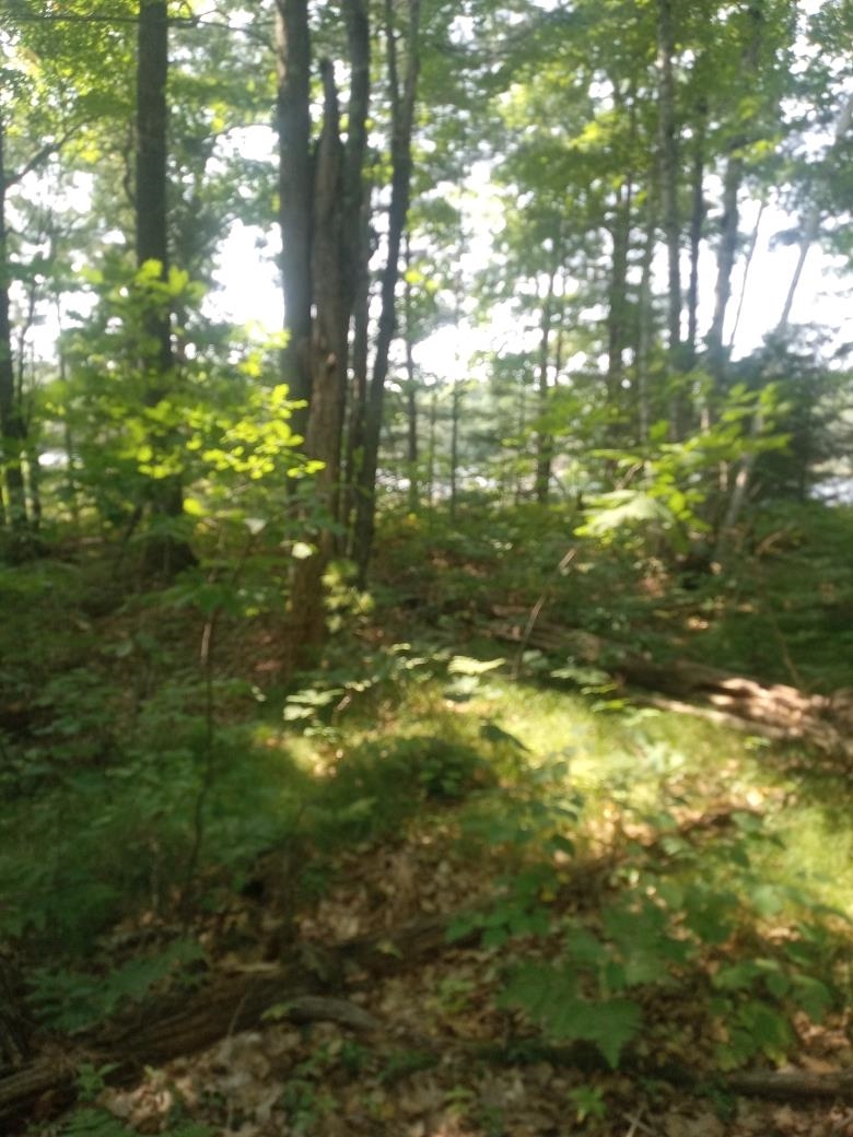 1505 SWALLOW LANE, Lac du Flambeau, Wisconsin 54538, ,Land,For Sale,1505 SWALLOW LANE,22604387