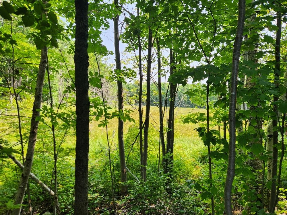 1505 SWALLOW LANE, Lac du Flambeau, Wisconsin 54538, ,Land,For Sale,1505 SWALLOW LANE,22604387