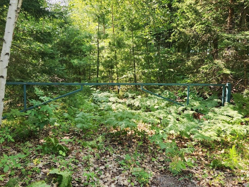 1505 SWALLOW LANE, Lac du Flambeau, Wisconsin 54538, ,Land,For Sale,1505 SWALLOW LANE,22604387