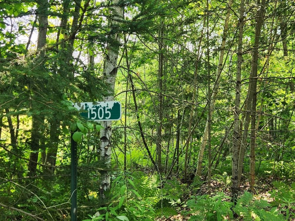 1505 SWALLOW LANE, Lac du Flambeau, Wisconsin 54538, ,Land,For Sale,1505 SWALLOW LANE,22604387