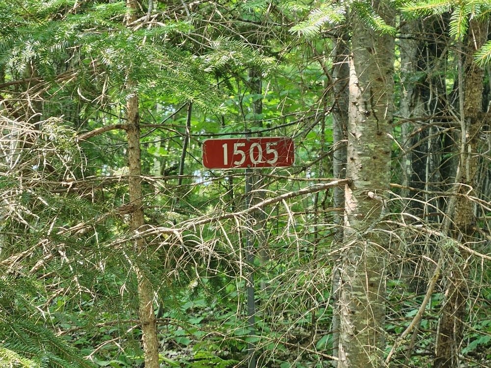 1505 SWALLOW LANE, Lac du Flambeau, Wisconsin 54538, ,Land,For Sale,1505 SWALLOW LANE,22604387