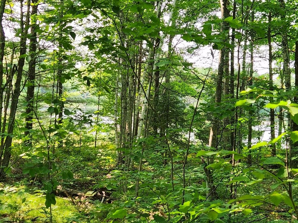 1505 SWALLOW LANE, Lac du Flambeau, Wisconsin 54538, ,Land,For Sale,1505 SWALLOW LANE,22604387