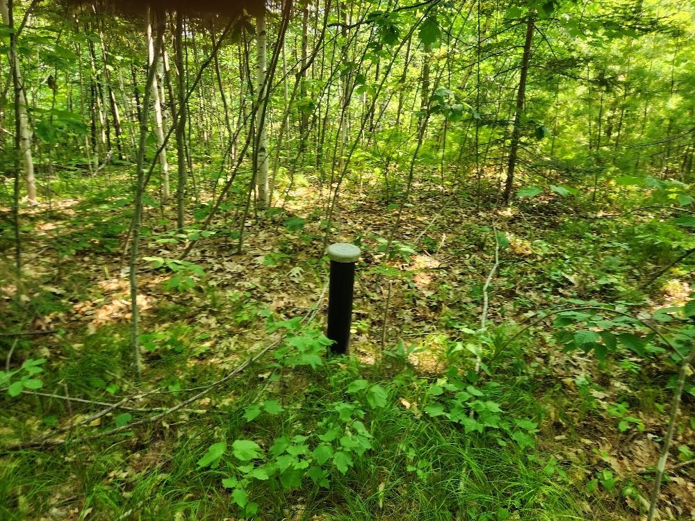 1505 SWALLOW LANE, Lac du Flambeau, Wisconsin 54538, ,Land,For Sale,1505 SWALLOW LANE,22604387