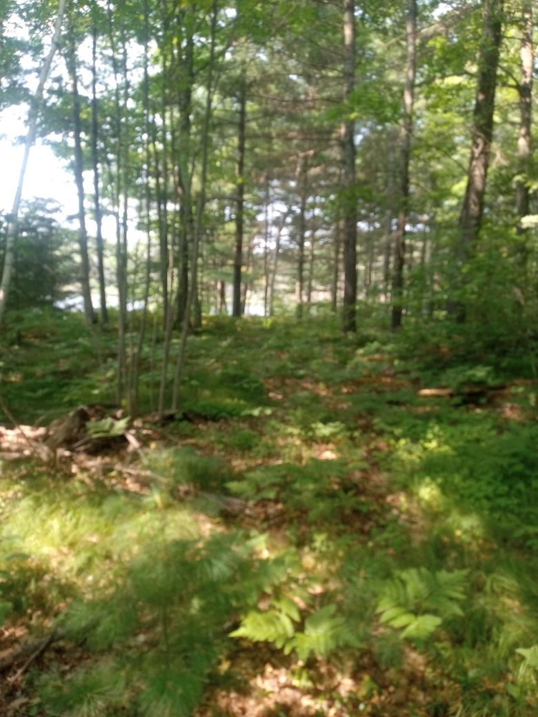 1505 SWALLOW LANE, Lac du Flambeau, Wisconsin 54538, ,Land,For Sale,1505 SWALLOW LANE,22604387