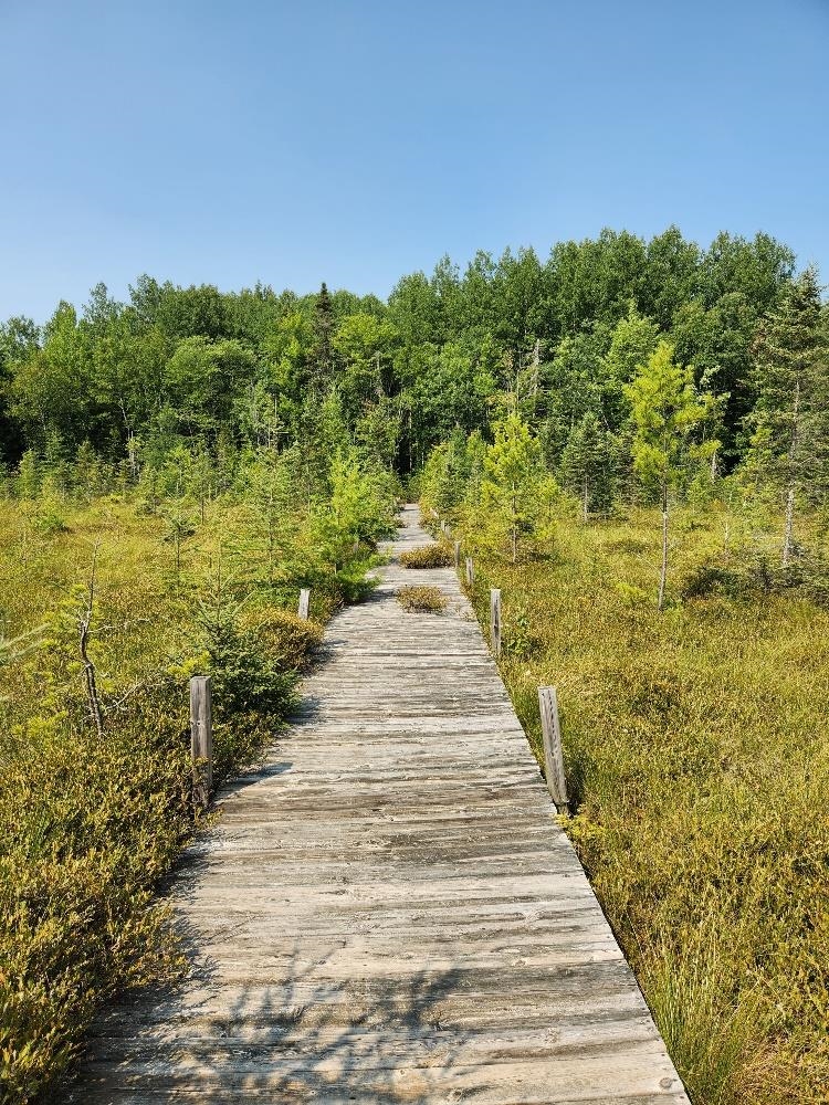 On W AMBER LAKE ROAD, Lac du Flambeau, Wisconsin 54538, ,Land,For Sale,On W AMBER LAKE ROAD,22604388