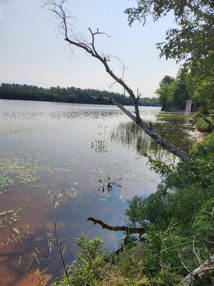 On W AMBER LAKE ROAD, Lac du Flambeau, Wisconsin 54538, ,Land,For Sale,On W AMBER LAKE ROAD,22604388