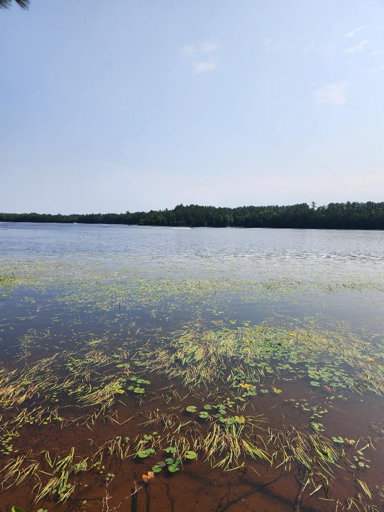 On W AMBER LAKE ROAD, Lac du Flambeau, Wisconsin 54538, ,Land,For Sale,On W AMBER LAKE ROAD,22604388