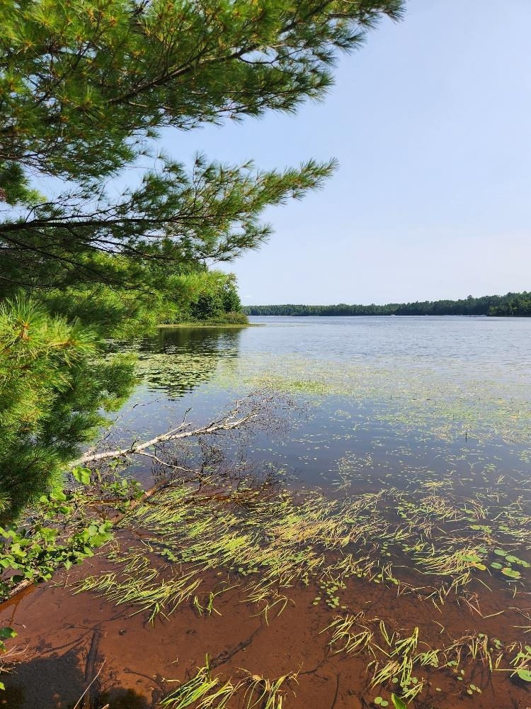 On W AMBER LAKE ROAD, Lac du Flambeau, Wisconsin 54538, ,Land,For Sale,On W AMBER LAKE ROAD,22604388