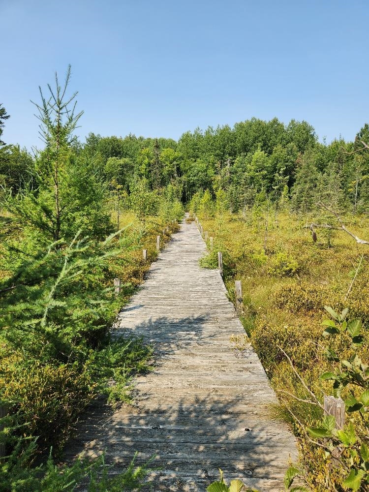 On W AMBER LAKE ROAD, Lac du Flambeau, Wisconsin 54538, ,Land,For Sale,On W AMBER LAKE ROAD,22604388