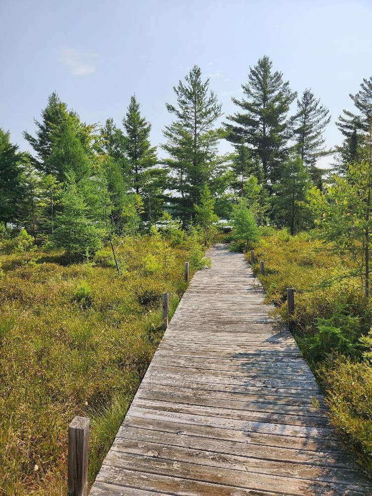 On W AMBER LAKE ROAD, Lac du Flambeau, Wisconsin 54538, ,Land,For Sale,On W AMBER LAKE ROAD,22604388