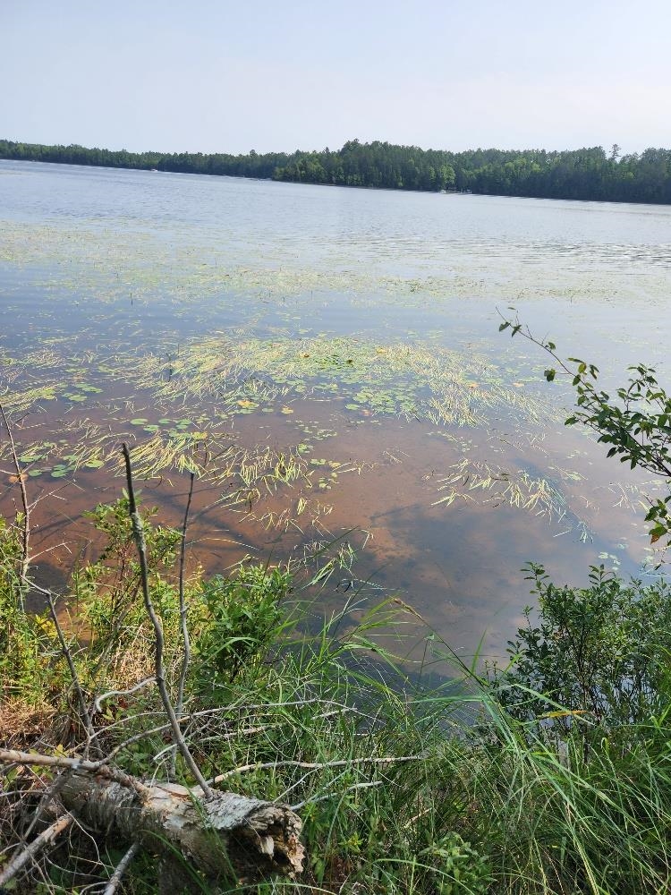On W AMBER LAKE ROAD, Lac du Flambeau, Wisconsin 54538, ,Land,For Sale,On W AMBER LAKE ROAD,22604388
