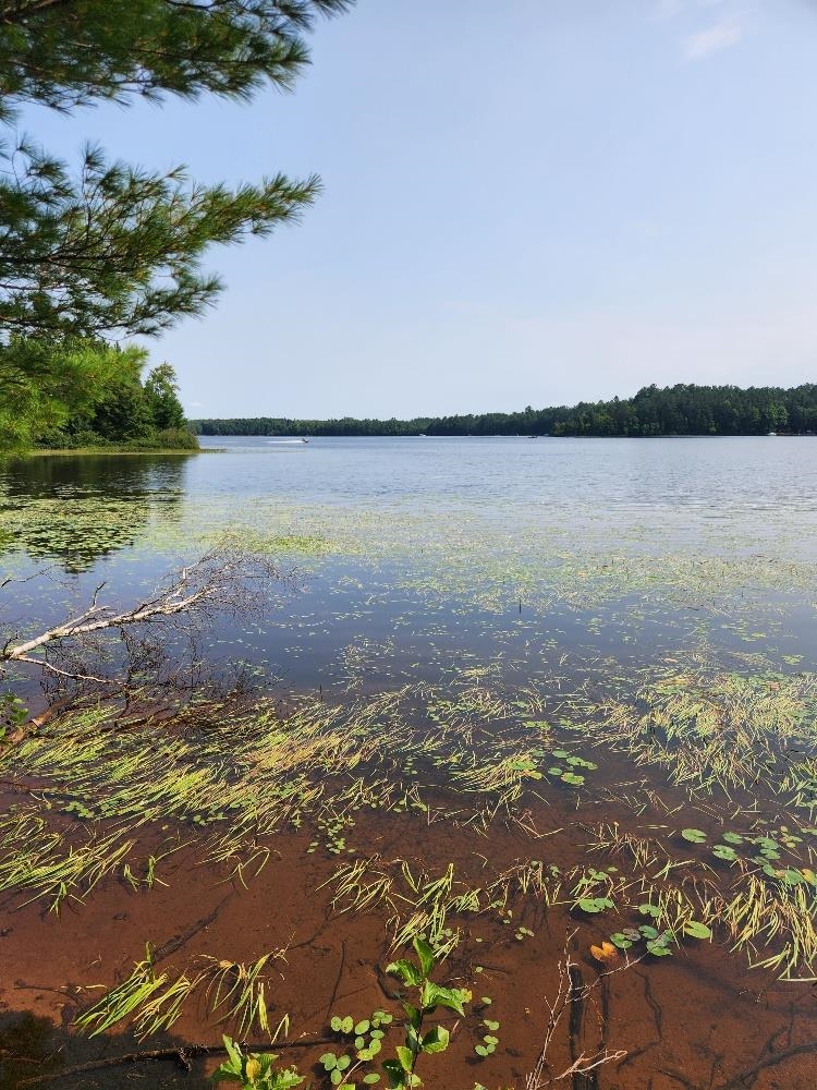On W AMBER LAKE ROAD, Lac du Flambeau, Wisconsin 54538, ,Land,For Sale,On W AMBER LAKE ROAD,22604388