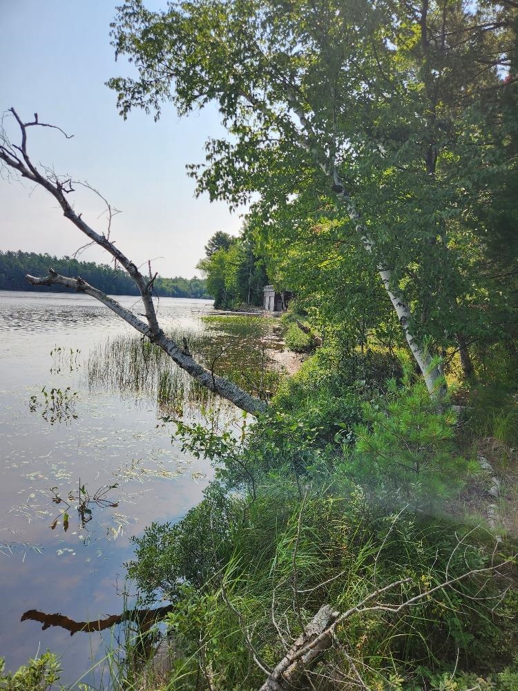 On W AMBER LAKE ROAD, Lac du Flambeau, Wisconsin 54538, ,Land,For Sale,On W AMBER LAKE ROAD,22604388