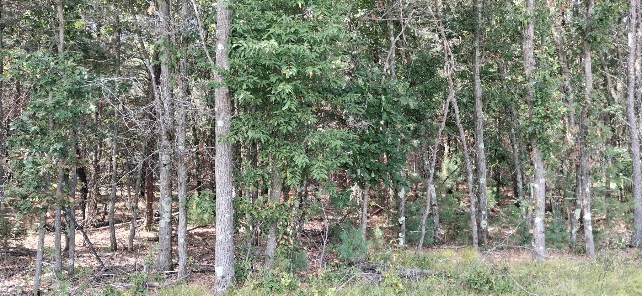 2110 S 60TH STREET, Wisconsin Rapids, Wisconsin 54494, ,Land,For Sale,2110 S 60TH STREET,22604394
