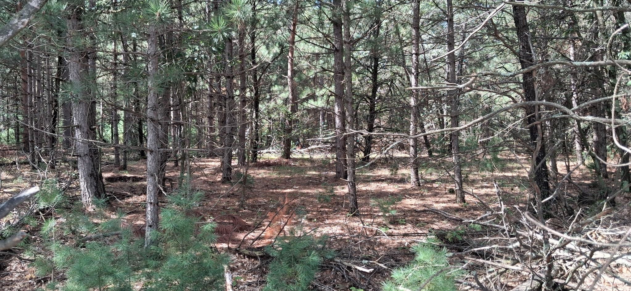2110 S 60TH STREET, Wisconsin Rapids, Wisconsin 54494, ,Land,For Sale,2110 S 60TH STREET,22604394