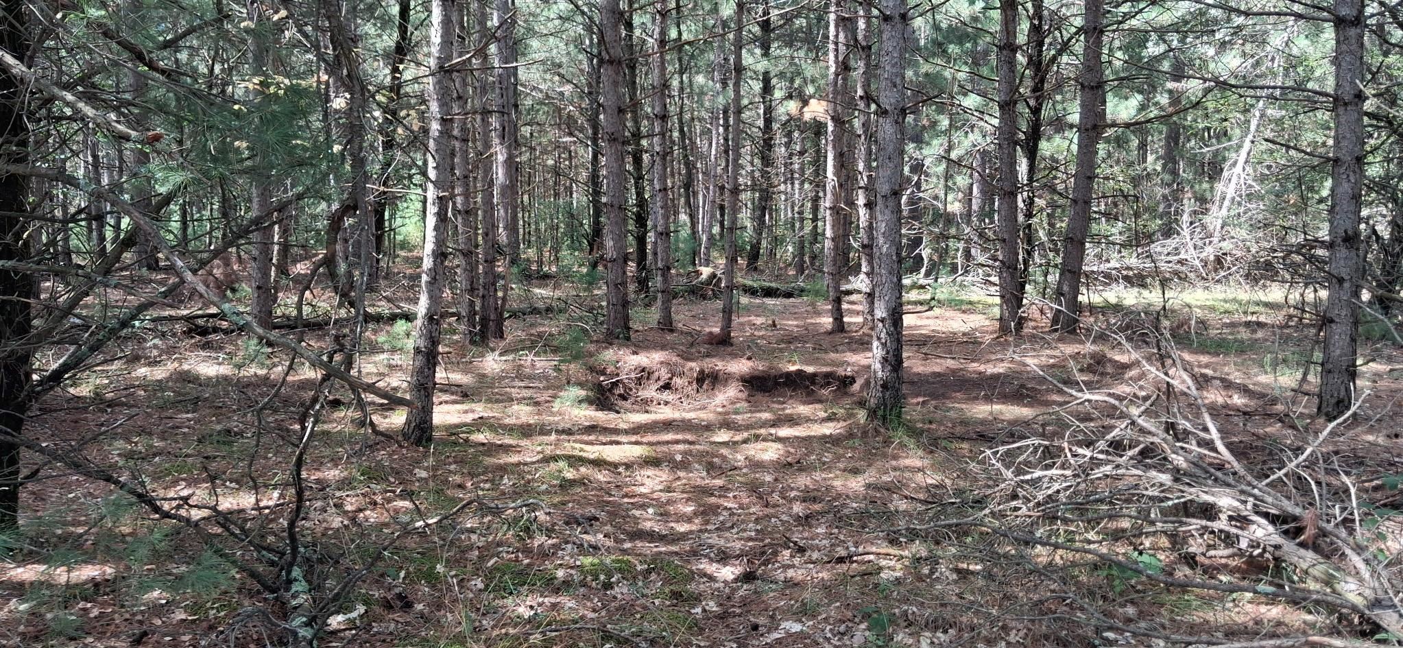 2110 S 60TH STREET, Wisconsin Rapids, Wisconsin 54494, ,Land,For Sale,2110 S 60TH STREET,22604394