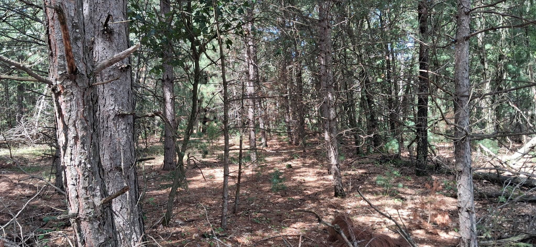 2110 S 60TH STREET, Wisconsin Rapids, Wisconsin 54494, ,Land,For Sale,2110 S 60TH STREET,22604394