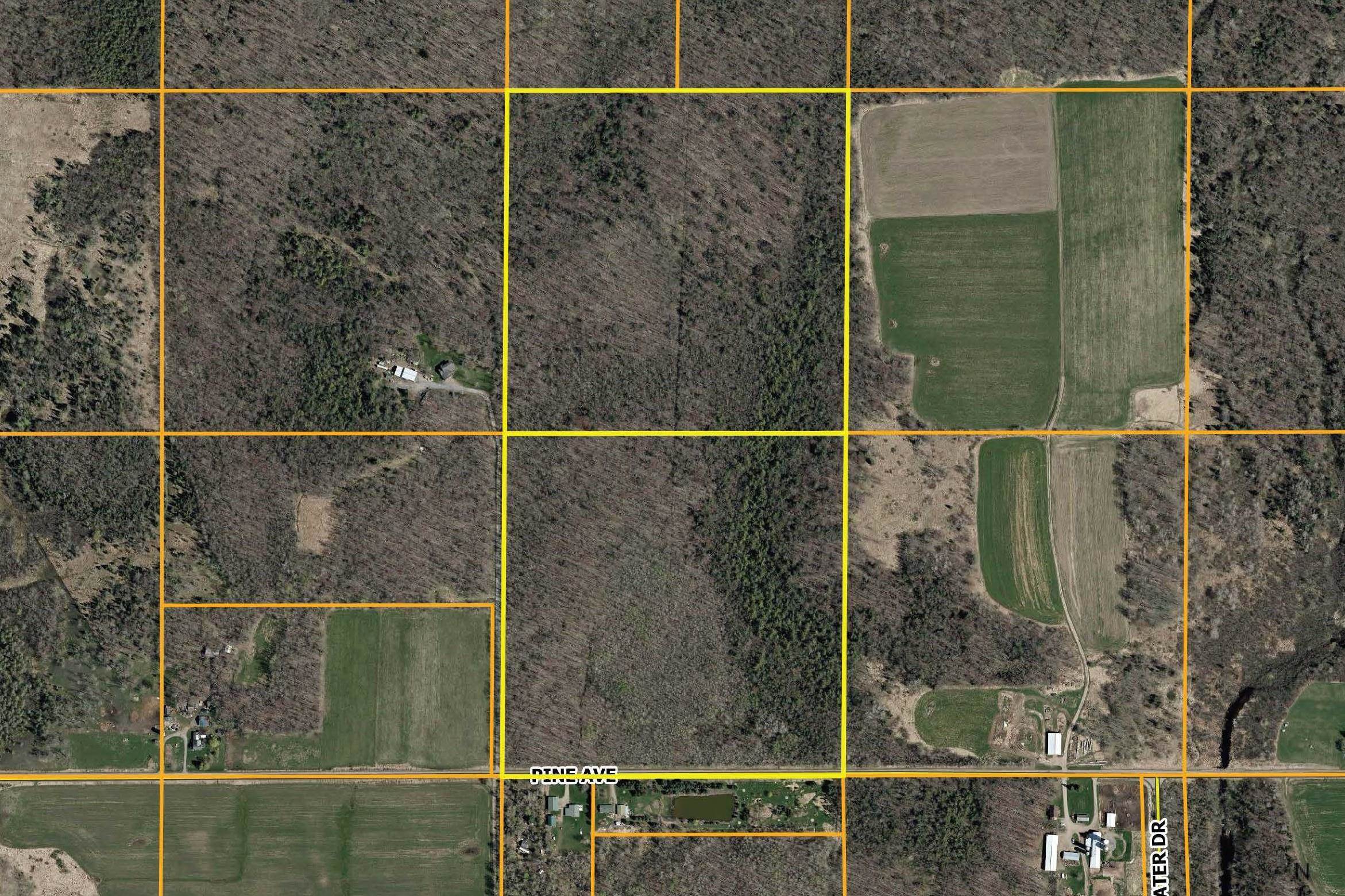 +/-80 Acres PINE AVENUE, Medford, Wisconsin 54451, ,Land,For Sale,+/-80 Acres PINE AVENUE,22604457