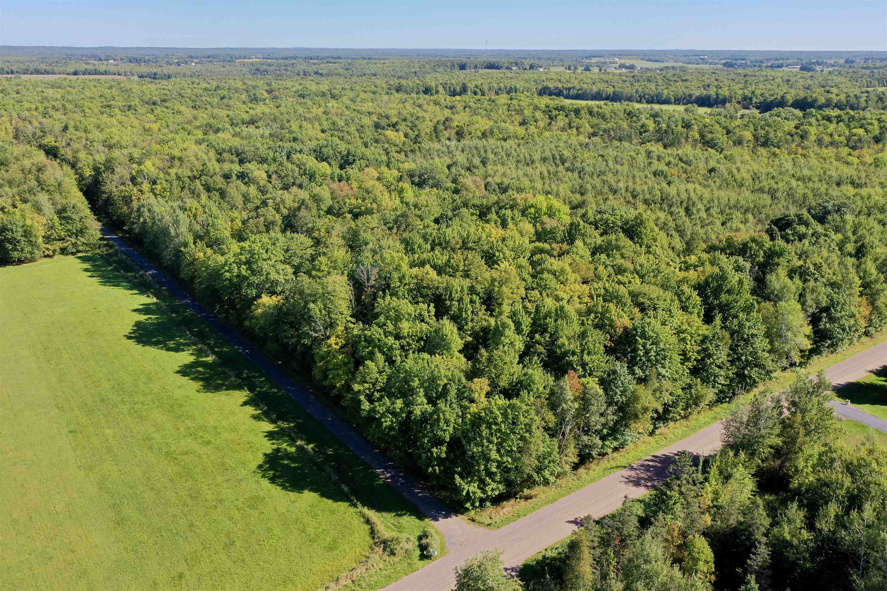 +/-80 Acres PINE AVENUE, Medford, Wisconsin 54451, ,Land,For Sale,+/-80 Acres PINE AVENUE,22604457
