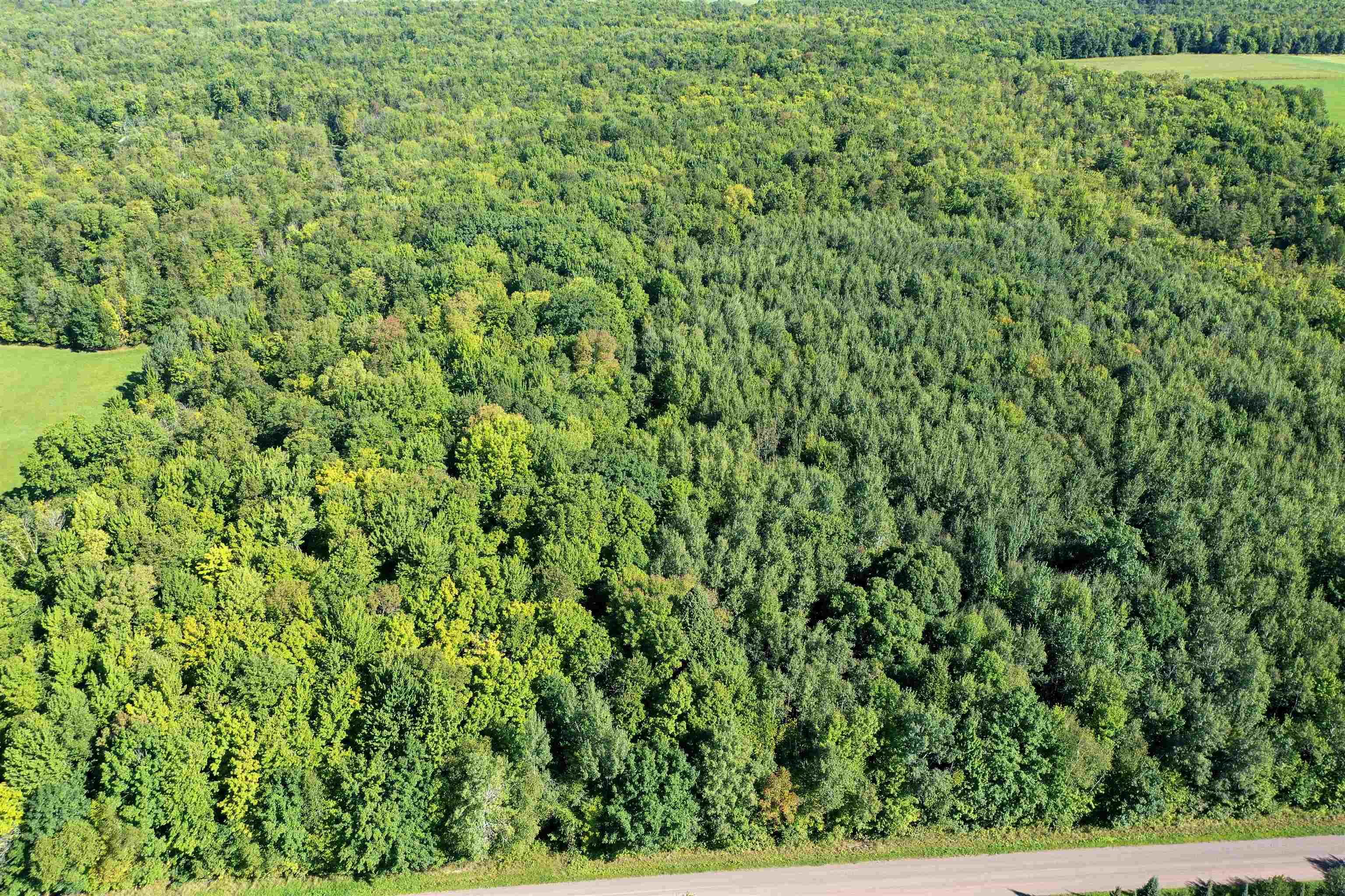 +/-80 Acres PINE AVENUE, Medford, Wisconsin 54451, ,Land,For Sale,+/-80 Acres PINE AVENUE,22604457