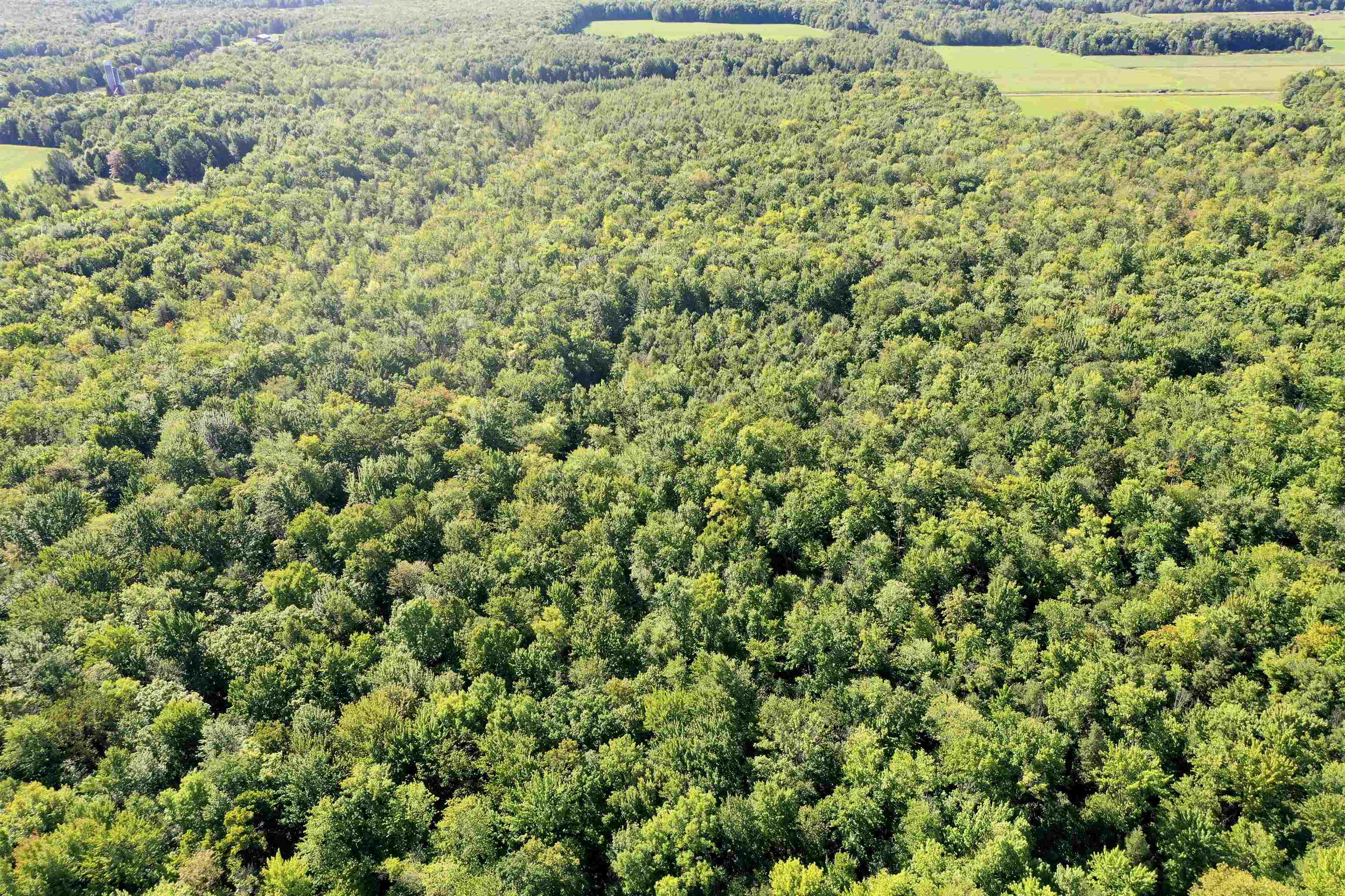+/-80 Acres PINE AVENUE, Medford, Wisconsin 54451, ,Land,For Sale,+/-80 Acres PINE AVENUE,22604457