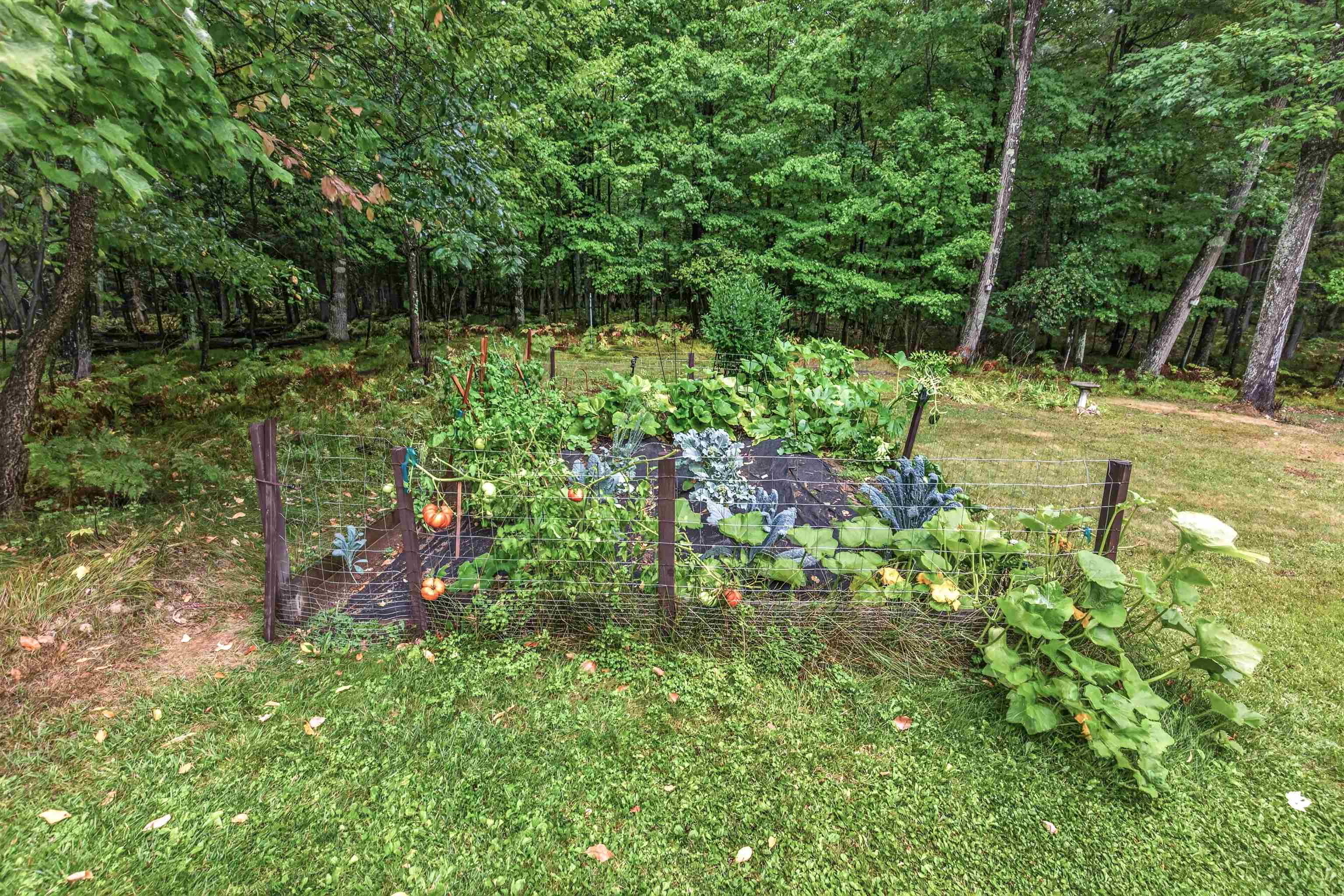 1806 BUCKHORN CIRCLE, Woodruff, Wisconsin 54568, 3 Bedrooms Bedrooms, ,3 BathroomsBathrooms,Residential,For Sale,1806 BUCKHORN CIRCLE,22604473