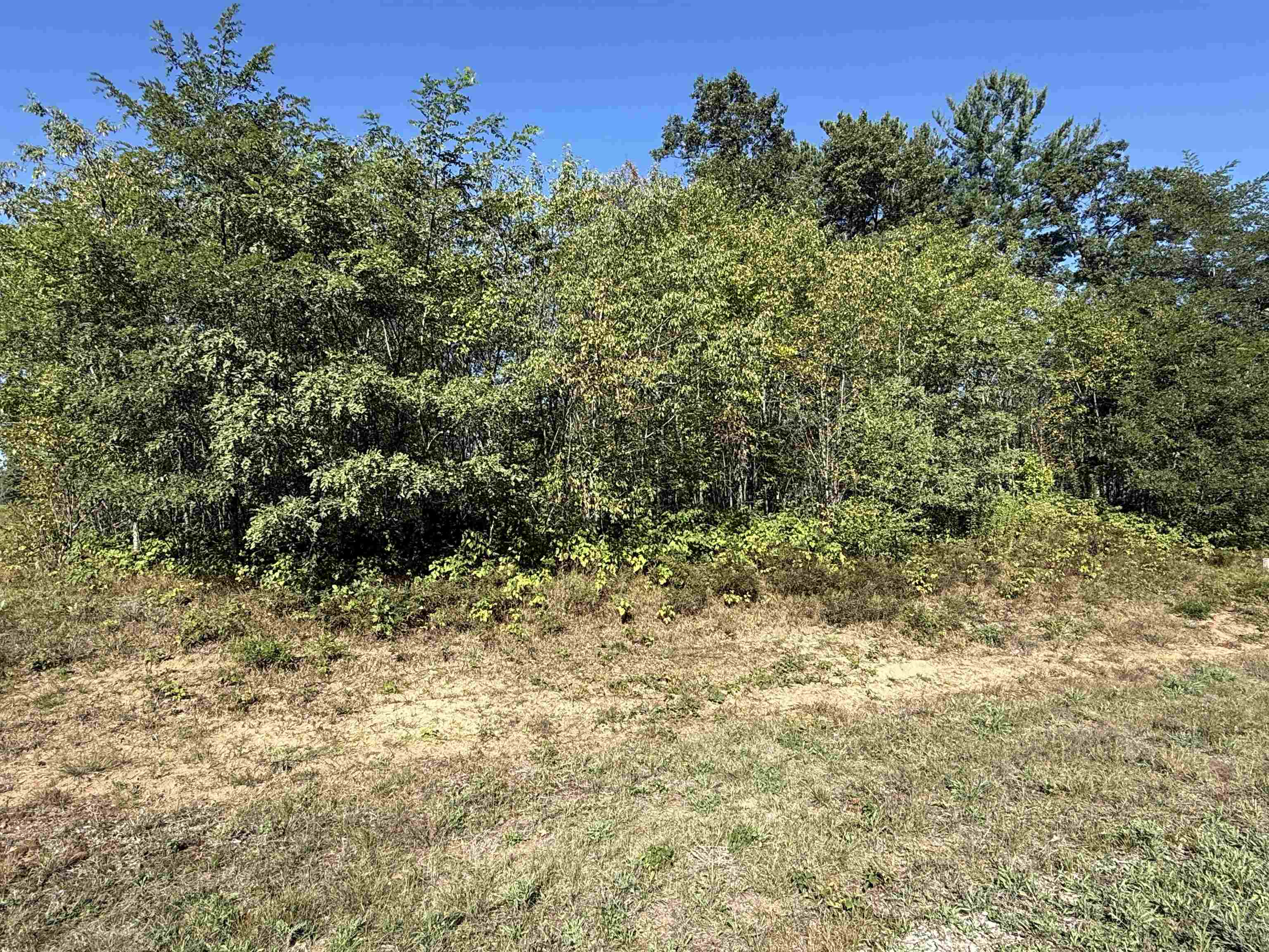 2125 BROOKE LANE, Stevens Point, Wisconsin 54481, ,Land,For Sale,2125 BROOKE LANE,22604476