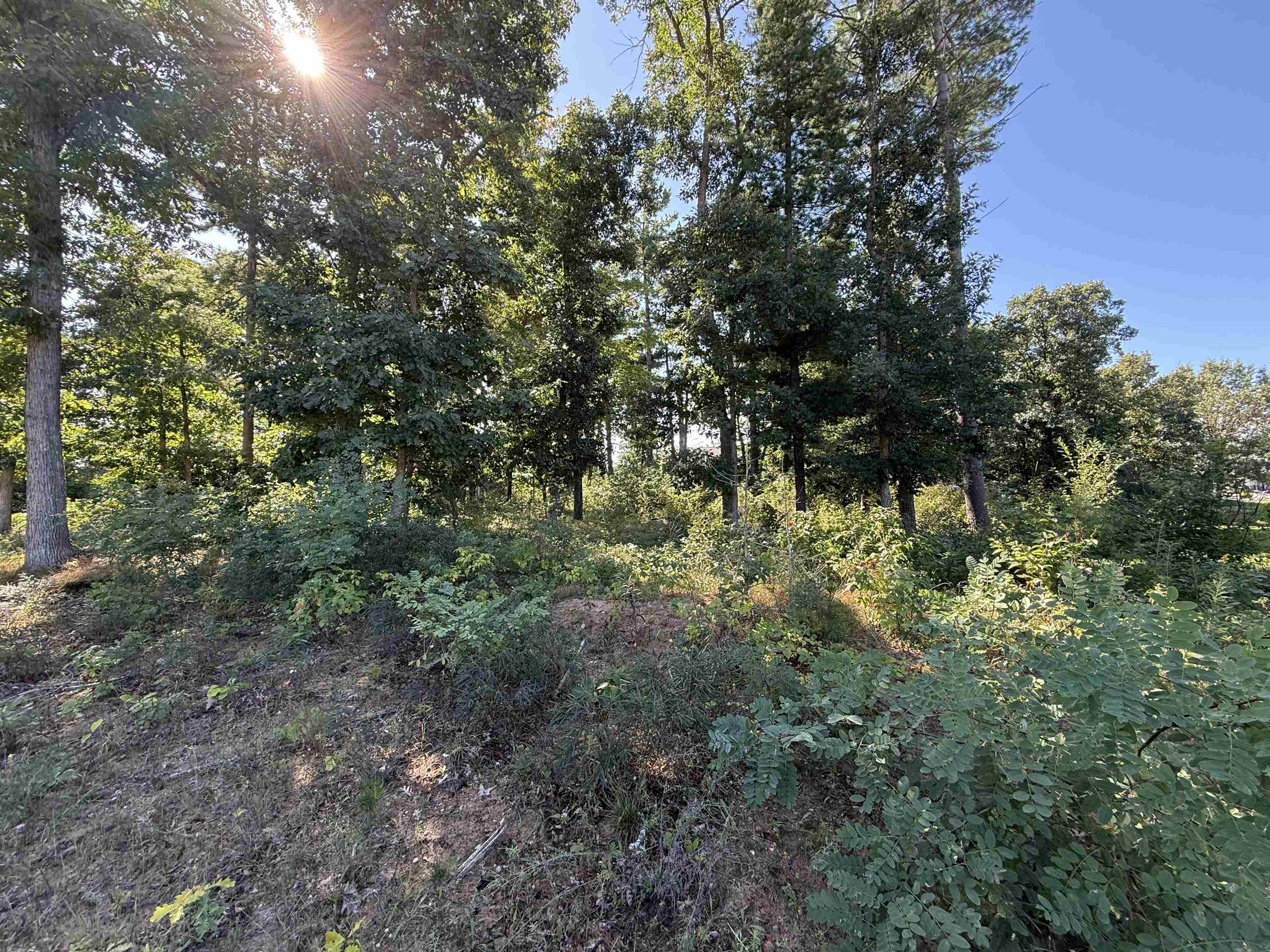 1005 JEREMY COURT, Stevens Point, Wisconsin 54481, ,Land,For Sale,1005 JEREMY COURT,22604483