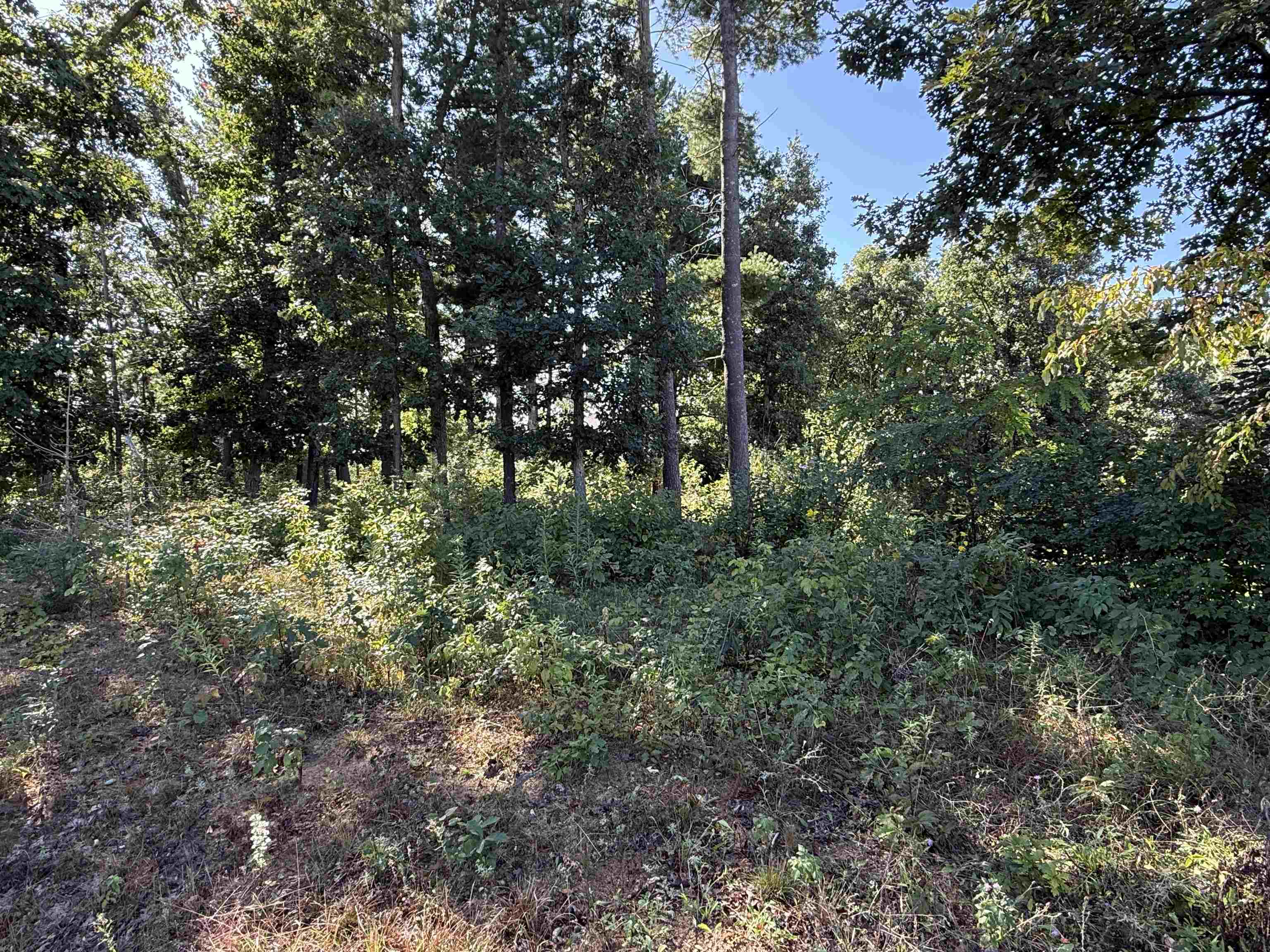 1005 JEREMY COURT, Stevens Point, Wisconsin 54481, ,Land,For Sale,1005 JEREMY COURT,22604483