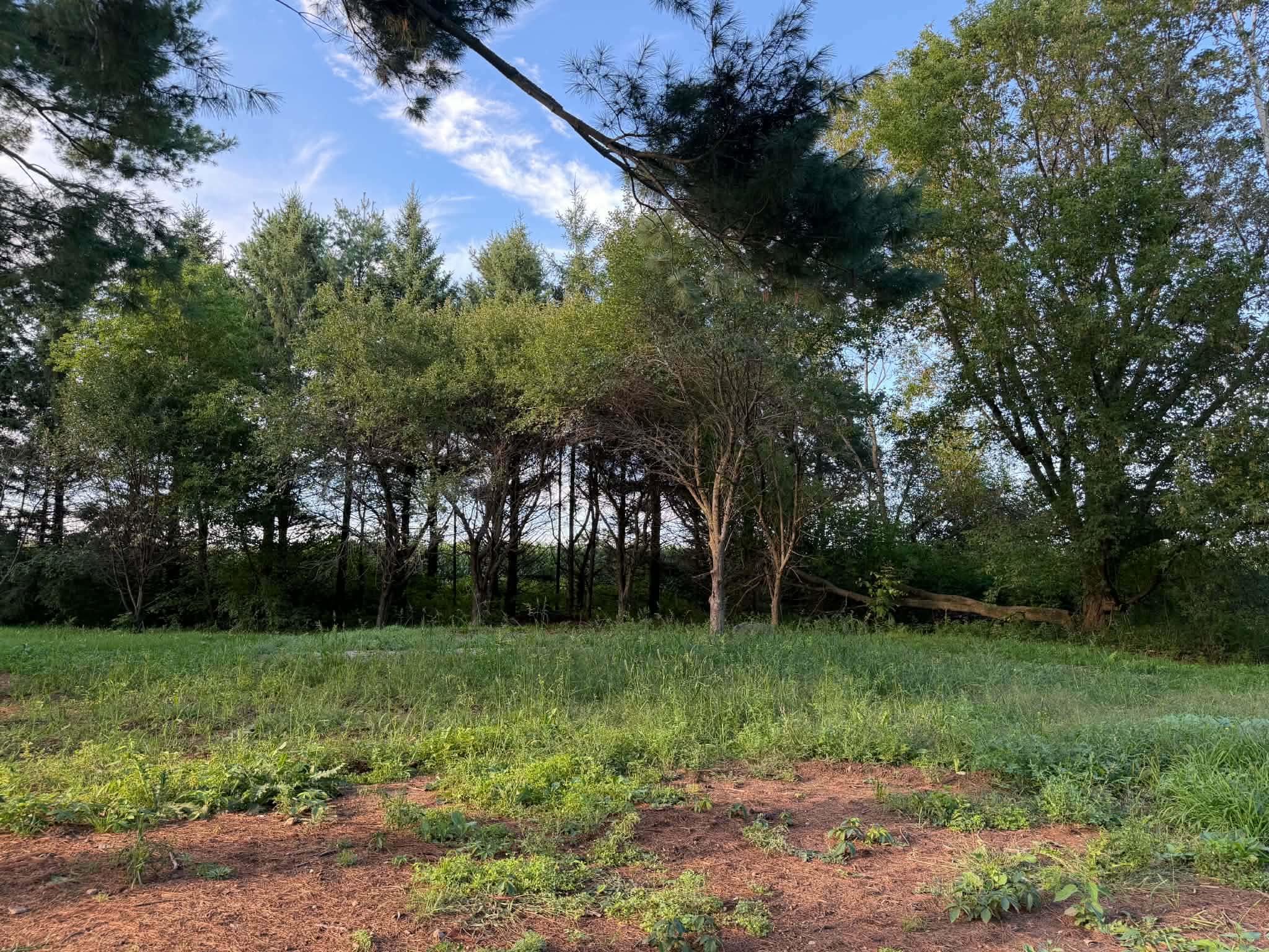 240179 MITCHELL LANE, Athens, Wisconsin 54411, 3 Bedrooms Bedrooms, ,2 BathroomsBathrooms,Residential,For Sale,240179 MITCHELL LANE,22604516