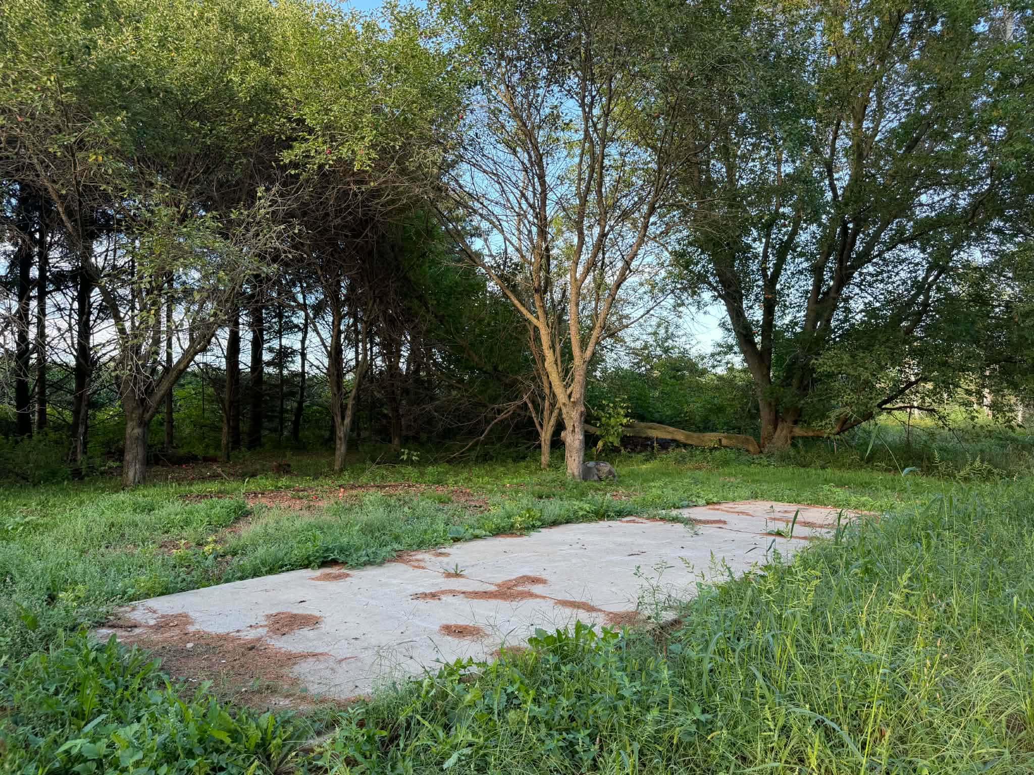 240179 MITCHELL LANE, Athens, Wisconsin 54411, 3 Bedrooms Bedrooms, ,2 BathroomsBathrooms,Residential,For Sale,240179 MITCHELL LANE,22604516